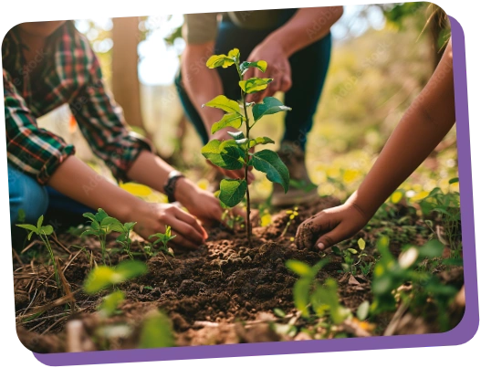 Drei Personen, die sich im Wald um eine Pflanze kümmern.